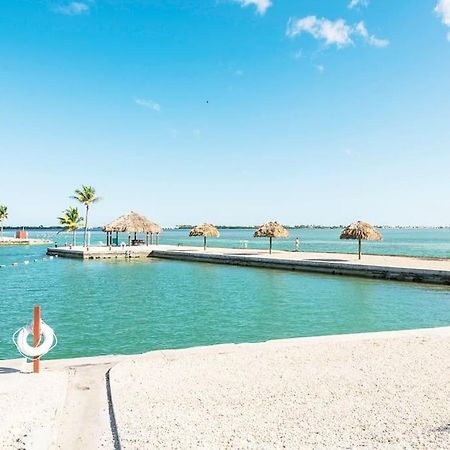 Nautilus...Ocean Front Cottage Retreat ~ Cudjoe Key Exterior foto